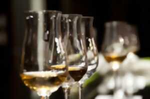 photo Apéro-concert au Domaine du Breuil