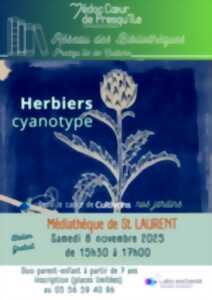 photo Herbier cyanoptype