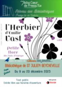 photo Expo Les herbiers d'Emilie Vast La petite flore des bois