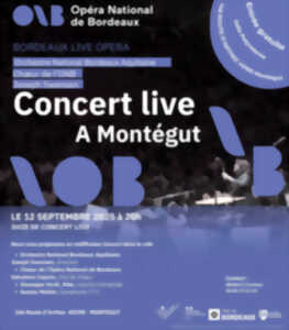 photo Rediffusion concert live