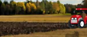 photo Comice agricole - Les Biards (Feytiat)