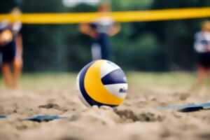 photo Tournoi de volley sur herbe