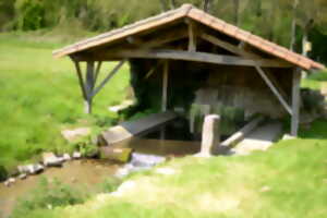 photo Balade surprise 14/15/16 aout à 17h à Saint-Romans-lès-Melle