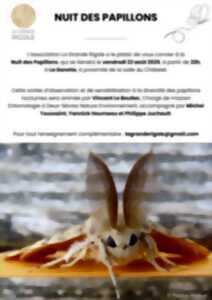 photo La Nuit des Papillons à La Garette