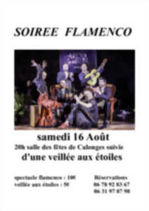 photo Soirée Flamenco et veillée aux étoiles