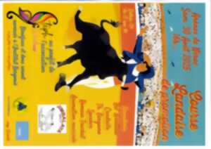 photo Course landaise de promotion