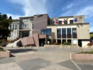 photo Forum des Associations - Le Palais-sur-Vienne