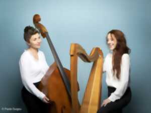 photo Daozi Duo en concert !
