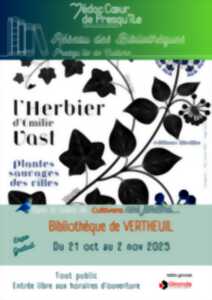 photo Expo les herbiers d'Emilie Vast Les plantes sauvages des villes