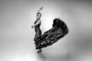photo FESTIVAL INTERNATIONAL HARPE D’OCCITANIE: SPECTACLE FLAMENCO & HARPE AVEC LE DUO CUERPO Y ARPA