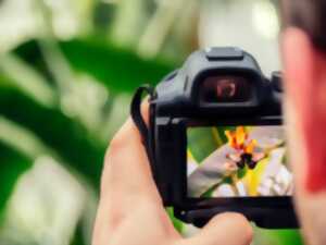 photo Exposition Photo