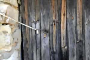 photo JOURNÉES EUROPÉENNES DU PATRIMOINE : DÉCOUVERTE DE L'ARBRE REMARQUABLE