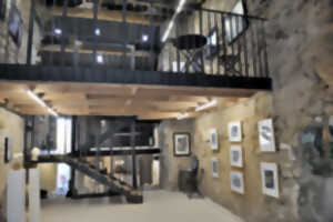 photo JOURNÉES EUROPÉENNES DU PATRIMOINE : GALERIE RUE DE PARIS