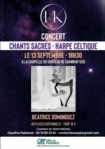 photo Chants sacrés – Harpe celtique (Béatrice Dominguez)