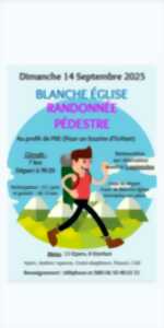 photo Randonnée pédestre