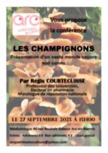 photo LES CHAMPIGNONS