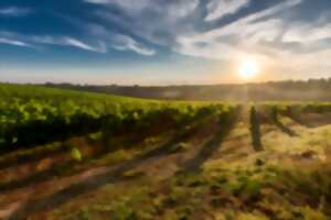 photo Prologue du Chapitre des Vendanges au Domaine Dutertre