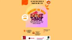photo Concert Rock Dune Purple
