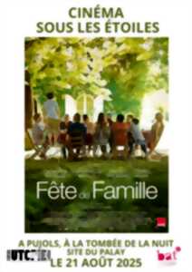 photo Cinéma sous les étoiles - Fête de Famille