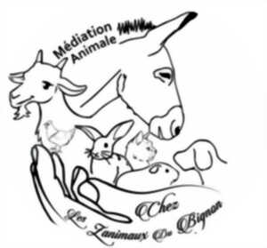photo Médiation animale