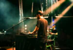 photo Concert musique actuelles : funk, rock et électro