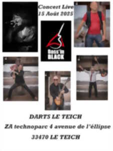 photo Concert live 15 Aout Darts le Teich