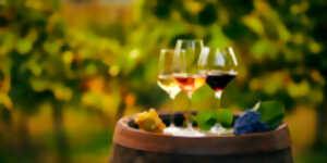 photo Voyage au Pays du vin
