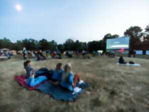 photo Cinéma en plein air : Une histoire vraie