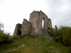 photo JEP 2025 - CHÂTEAU DE COUSTAUSSA
