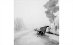 photo Exposition Espace Dantza - Intemporelle cite, Tonio Modio