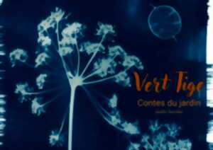 photo Vert Tige