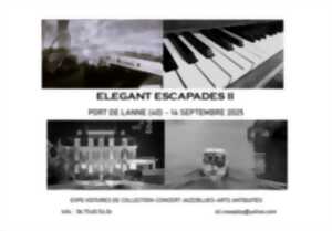 photo Elegant Escapades II