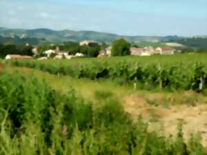 photo JEP 2025 - BRUGAIROLLES