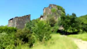 photo DÉCOUVERTE DE LA PIERRE SÈCHE