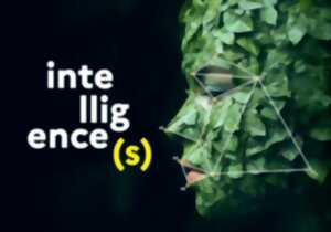 photo FÊTE DE LA SCIENCE 2025