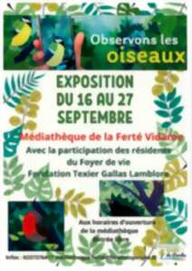 photo Exposition - Observons les oiseaux