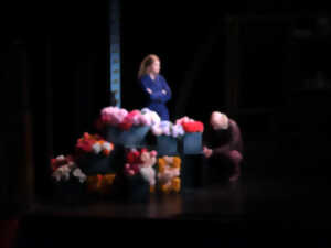 photo Théâtre : Changer l'eau des fleurs