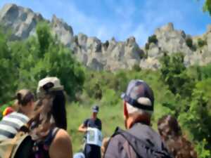 photo JEP 2025 - OBSERVATION DES OISEAUX MIGRATEURS DEPUIS LE BELVÉDÈRE AU PIED DU CHÂTEAU DE PEYREPERTUSE
