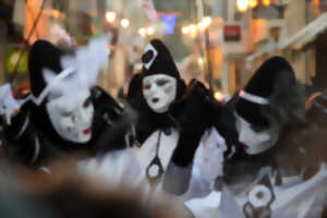 photo CARNAVAL DE LIMOUX 2026 - LES PITCHOUNS ET LES TAP'S