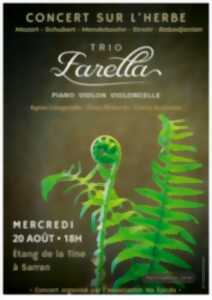 photo Concert Trio Farella