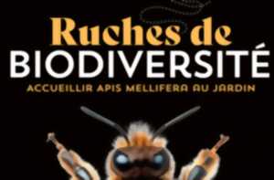 photo Ruches de biodiversité