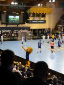 photo Match de handball Limoges/Nantes - Palais des Sports de Beaublanc - Limoges