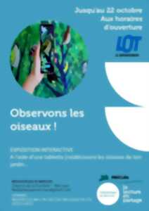 photo Exposition interactive : Observons les oiseaux!