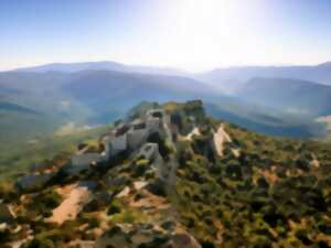 photo JEP 2025 - CHÂTEAU DE PEYREPERTUSE