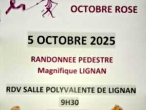 photo Les Nordics en MARCHE ROSE