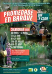 photo Promenades en barque sur la Conie