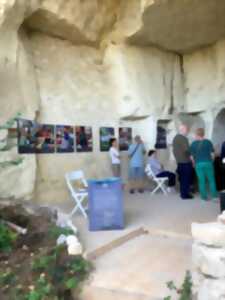 photo Festival du Rossignolet - Le minéral transfiguré