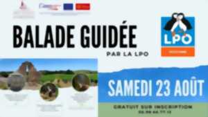 BALADE GUIDÉE PAR LA LPO