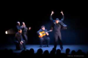 photo Festival d'hiver Arte Flamenco 2026 : 