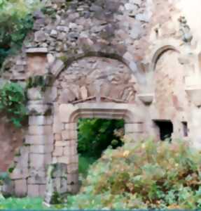 photo Journées européennes du Patrimoine : visite du Vieux Château